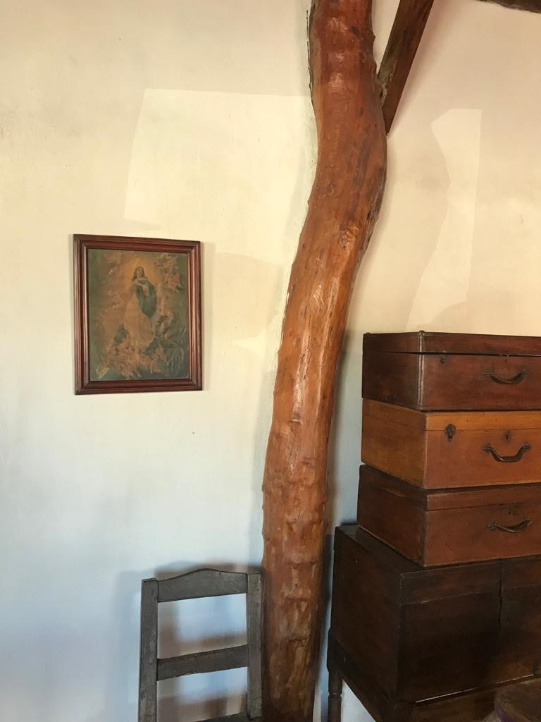CASA1